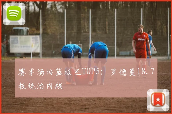 赛季场均篮板王TOP5：罗德曼18.7板统治内线