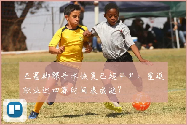 王蔷脚踝手术恢复已超半年,重返职业巡回赛时间表成谜?
